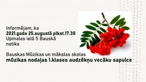 Par Mūzikas nodaļas 1.klašu audzēkņu vecāku tikšanos